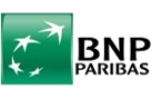 logonuevo-BNP